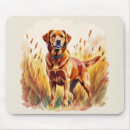 Buscar labrador retriever alfombrillas de raton Perros
