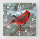 Buscar cardenal rojo arte Nieve