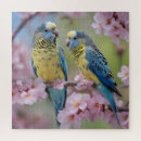Buscar loros azules puzzles Para todos