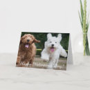 Buscar cockapoo tarjetas Cachorros