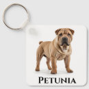 Buscar shar pei llaveros Perro