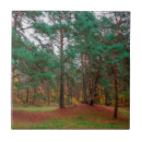 Buscar bosque azulejos Paisaje
