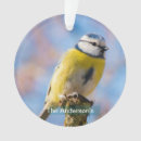Buscar pájaros adornos Para todos