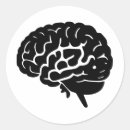 Buscar cognición Neurociencia
