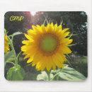 Buscar girasoles electronica Madre