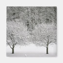 Buscar el mundo natural imanes Paisaje