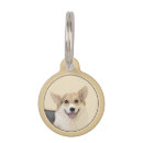 Buscar galés mascotas Pembroke welsh corgi