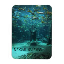Buscar nassau imanes Vacaciones