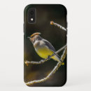 Buscar cera iphone fundas Pájaro
