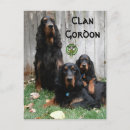 Buscar setter postales Animal