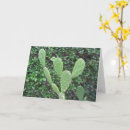 Buscar cactus lindo tarjetas General y unisex