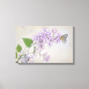 Buscar lila lienzos Lavanda