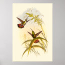 Buscar flores coloridas posters Pintura