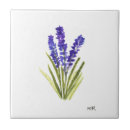 Buscar cera azulejos Verde