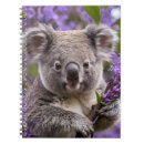 Buscar koala cuadernos Vida silvestre