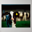 Buscar agricultura arte Animal
