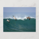 Buscar que practican surf Océano