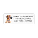 Buscar rhodesian Rhodesian ridgeback