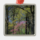 Buscar louisville kentucky adornos Árbol