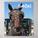 Buscar amish posters Buggy
