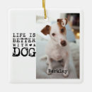 Buscar perros adornos General y unisex
