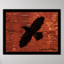 Buscar pájaros negros posters Animales