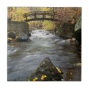 Buscar barranco azulejos Bosque