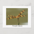 Buscar equilibrado postales Animales