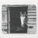 Buscar horse alfombrillas de raton Animales de granja