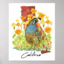 Buscar codornices posters General y unisex