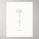 Buscar claveles posters Para ella