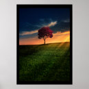 Buscar iluminación posters Naturaleza