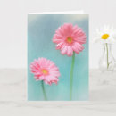 Buscar gerberas tarjetas Madre