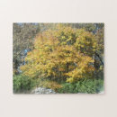 Buscar paisaje del otoño puzzles Viajar