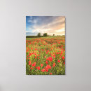 Buscar wildflower lienzos Prado
