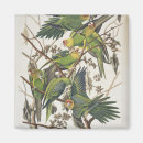 Buscar parakeet imanes Aves