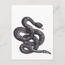 Buscar serpientes de cascabel postales Serpiente venenosa