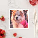 Buscar dog servilletas Animales