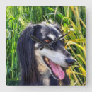 Buscar raza del perro arte Naturaleza