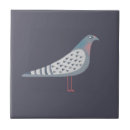 Buscar palomas azulejos Naturaleza