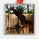 Buscar giraffe adornos Animales