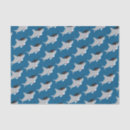 Buscar pato lindo papel de seda Animales