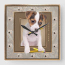 Buscar perritos relojes de pared Para todos