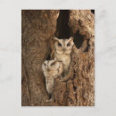 Buscar pegatina postales Animal