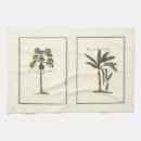 Buscar palmeras paños de cocina Botánico