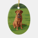 Buscar labrador decoracion Amante de perros