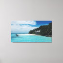 Buscar paraíso fotografía Pacífico