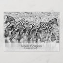 Buscar safari africano invitaciones Animal