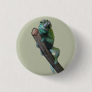 Buscar chameleon chapas Reptil