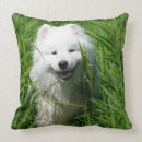 Buscar samoyedo cojines Perros